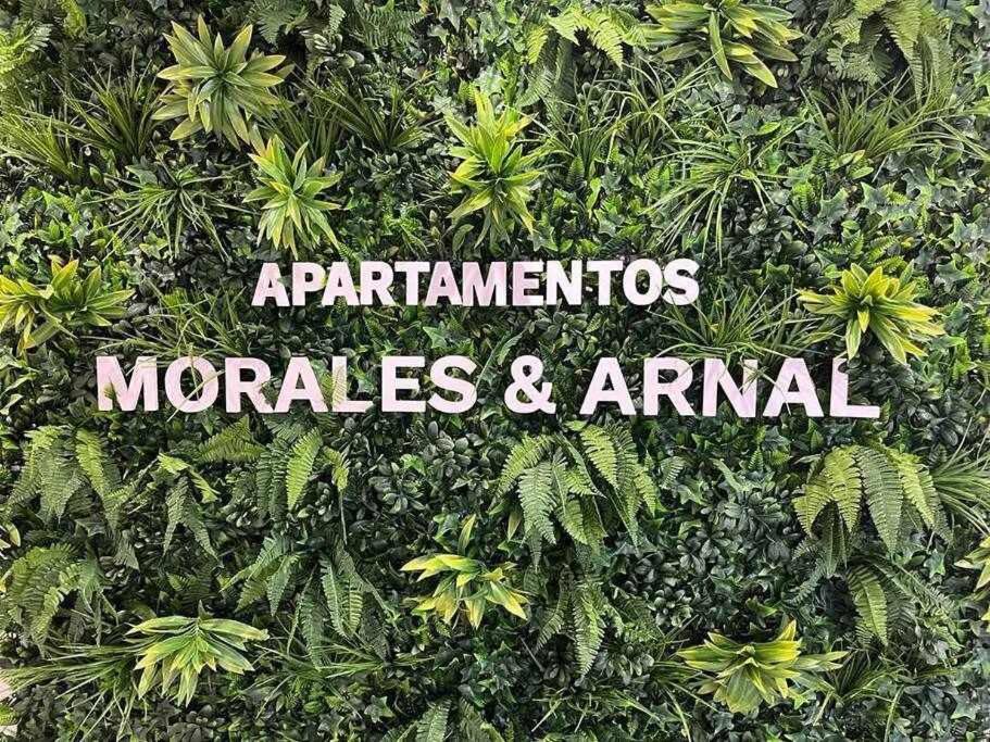 XXI E Apartamentos Morales & Arnal Ronda Exterior foto